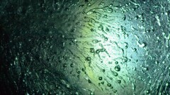 abstract digital art texture Green