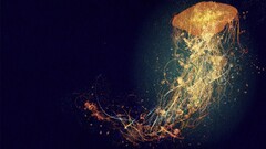 abstract jellyfish Animals artwork