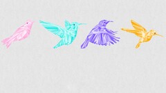 abstract Simple Background Birds Animals