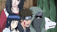aburame shino hyuuga hinata inuzuka kiba Yuhi Kurenai Anime