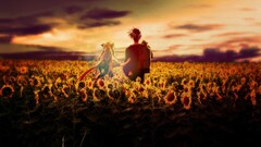 Air (anime) anime girls Sunflowers Anime yellow flowers field
