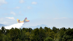 airplane forest vehicle Aircraft