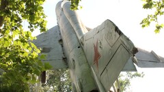 airplane Trees Aircraft Plants vehicle