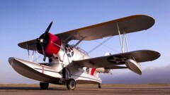 airplane vehicle Aircraft