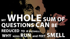 Albert Einstein Typography Men artwork