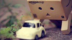 amazon Toys danbo