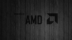 amd monochrome logo texture