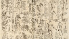 anatomy medicine infographics biology