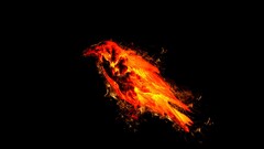 Animals Birds fire Simple Background black background