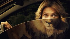 Animals Car Women reflection humor yellow