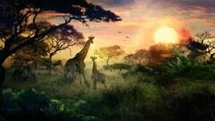 Animals Giraffes landscape sun deviantart nature digital art