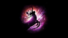 Animals Stars artwork