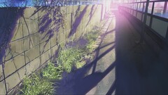 Anime 5 centimeters per second Makoto Shinkai