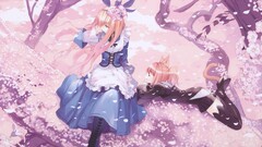 Anime Alice in Wonderland anime girls two women fantasy art
