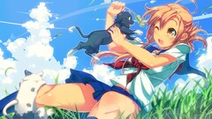 Anime anime girls cats clouds grass schoolgirl school uniform