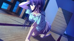 Anime anime girls senjougahara hitagi monogatari-series