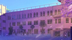 Anime artwork building Trees