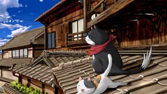 Anime cats rooftops House Animals