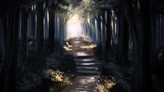 Anime forest landscape Trees path