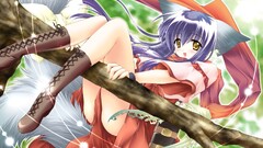 anime girls Anime animal ears Tail Tale