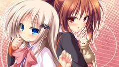 anime girls Anime blue eyes cats red eyes