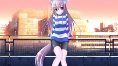 anime girls Anime nekomimi animal ears original characters
