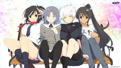 anime girls Anime Senran Kagura Homura (Senran Kagura)