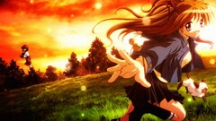 anime girls Anime women outdoors two women cats sunlight grass