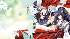 anime girls Kuraki Mizuna miko Moonlight Lady Anime