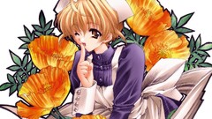 anime girls Moonlight Lady Anime