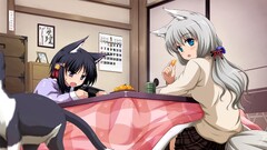 anime girls nekomimi animal ears original characters