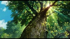 Anime landscape sunlight Trees