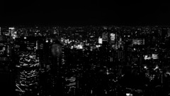 Anime monochrome cityscape