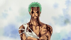 Anime One Piece Roronoa Zoro