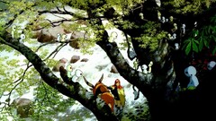Anime princess mononoke studio ghibli