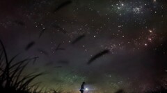 Anime sky night sky dark