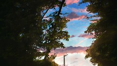 Anime sky outdoors Trees street sunset