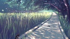 Anime squirrel outdoors Plants Animals