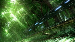 Anime Wood nature anime girls