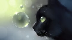 apofiss artwork bubbles cats Animals