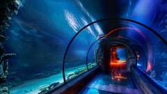 aquarium lights water