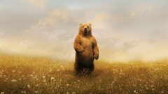 artwork Bears Animals dandelion Mammals