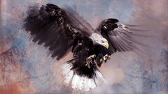 artwork Birds eagle Animals