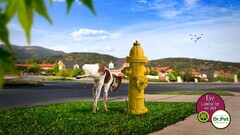artwork commercial dog humor