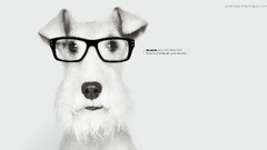 artwork dog glasses commercial Animals