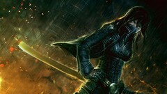 artwork fantasy art concept art Women ninjas