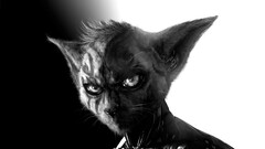 artwork fantasy art cyborg cats digital art anthro