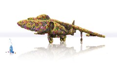 artwork Flowers Aircraft commercial AV-8B Harrier II military