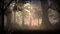 artwork forest nature cgi