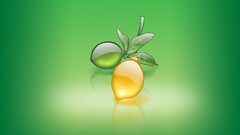 artwork fruit green background Green